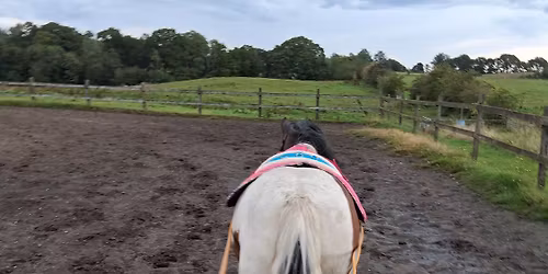 Long Reining Clinic with Leigh Clements