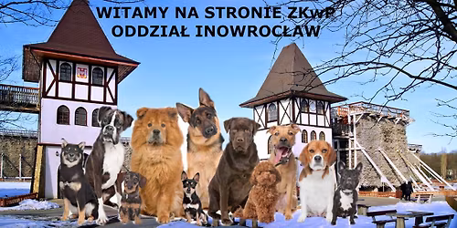 XXXVIII Krajowa Wystawa Ps\u00f3w Rasowych w Inowroc\u0142awiu 