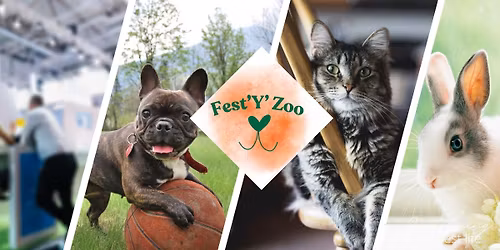 Fest\u2019Y\u2019Zoo 2026 \ud83d\udc9a