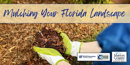 Mulching Your Florida Landscape
