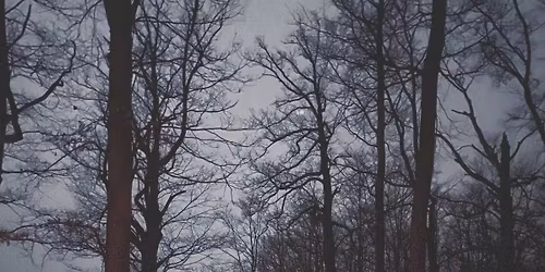 FULLMOON FIRE | DUBEN - BELTAIN