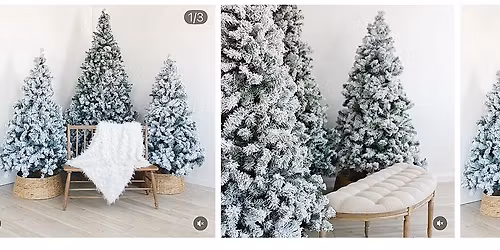 Studio Holiday Mini Sessions