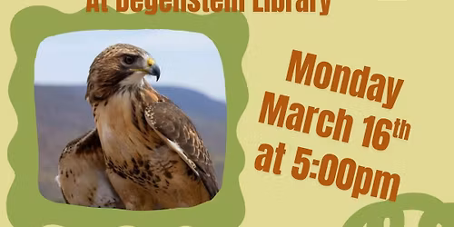 Birds of Prey Program