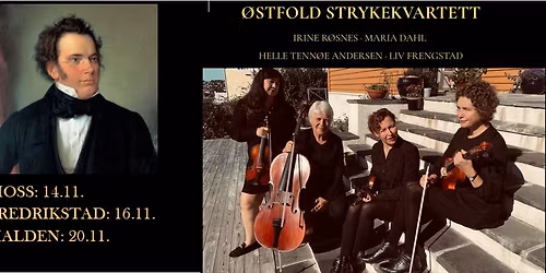 Schubertiade i v\u00e5r tid