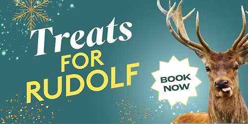 Reindeer Food Making at County Mall \ud83e\udd8c