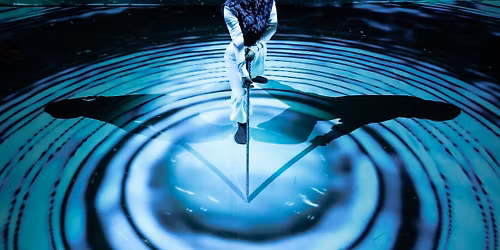 RONiN by Yukiko Masui