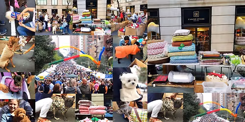 Annual Lexington Ave Street Festival - Canine Styles