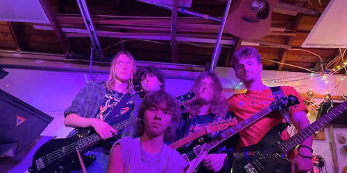 DMA Free In-Store Performance!