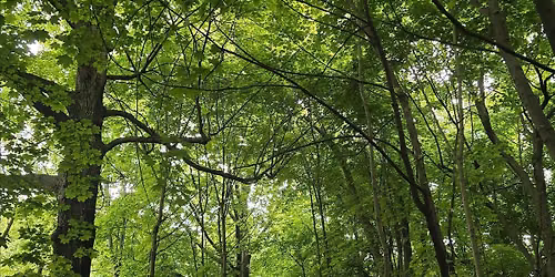 Journaling, coffee, and walk!