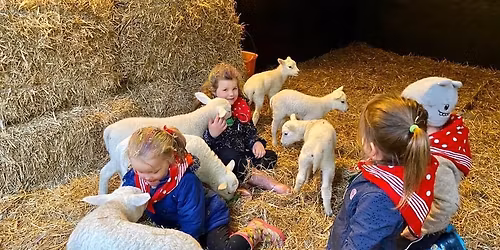 Boerderij beleving voor families, gezinnen en iedereen die van dieren houd