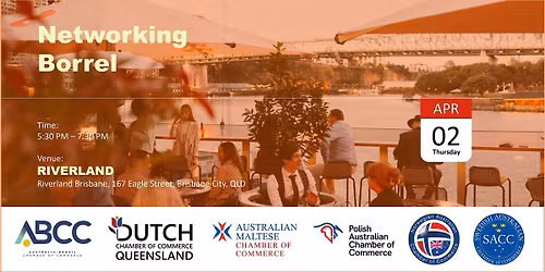 Business Networking Borrel