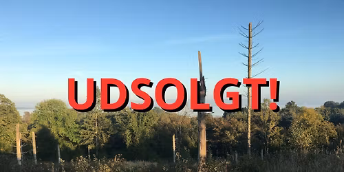 Love Nature Run's Backyard Ultra 2026