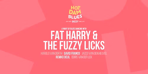Hot Dam Blues: Fat Harry & the Fuzzy Licks