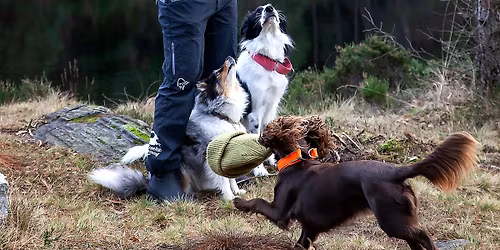 FreeRun Veltrent - Mai 26