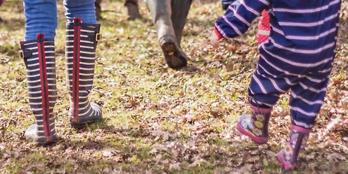 Welly Tots Walk - Worcester Woods Country Park