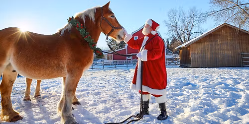 Once Upon a Christmas