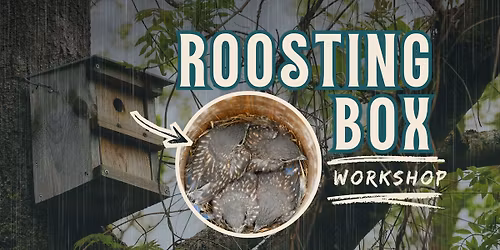 Roosting Box Workshop