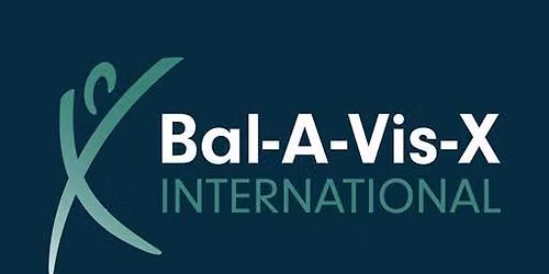 BalAVisX Workshop