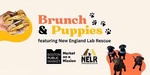 Brunch & Puppies at Boston Public Market