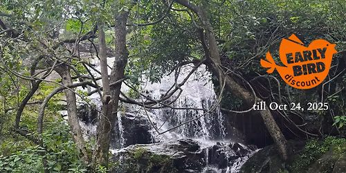 Jungle Retreat- Pachmarhi, MP