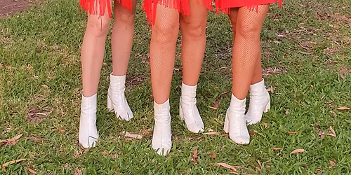 MWTS - The Fabulous Beehives Trio