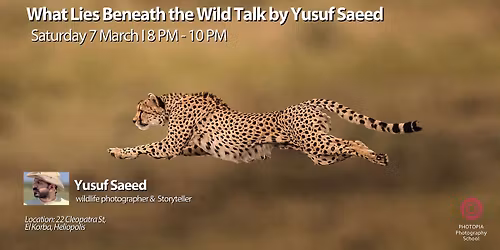 What Lies Beneath the Wild Talk by Yusuf Saeed