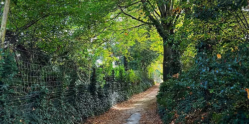 Christian Adoption & Fostering Support Group Meeting