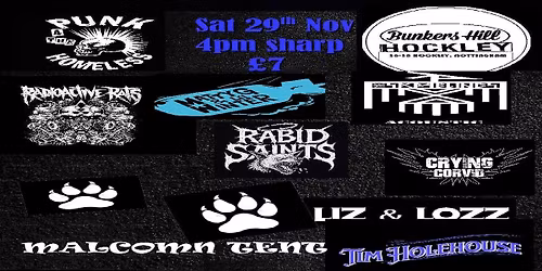 Punk 4 The Homeless Winter Festival (a lineup to drool over)