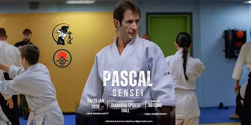 Seminar with Pascal Guillemin sensei