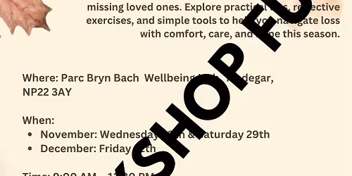 \ud83d\udeabWORKSHOP FULL: November: Healing & Hope Grief Workshop