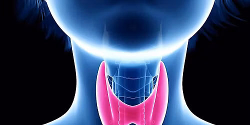 The Thyroid: Unlocked