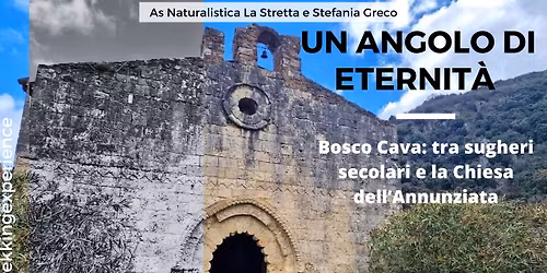 Un angolo di eternit\u00e0 - Bosco Cava: tra sugheri centenari e la Chiesa dell\u2019Annunziata