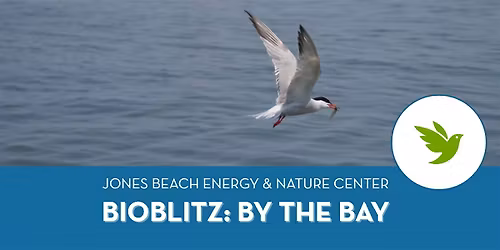 BioBlitz: By the Bay (Adults & Teens, Ages 12+)