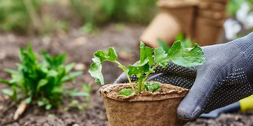 Guerilla Gardening, 10-19 YRS (Talent Library)