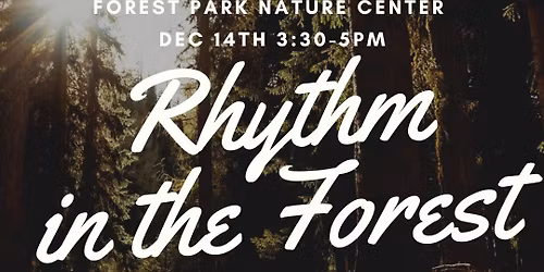Rhythm in the Forest