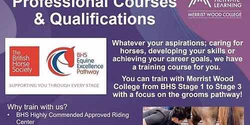 BHS Stage 3 Lunge training & skills record