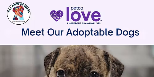 Adoption Event at Petco, Waterford