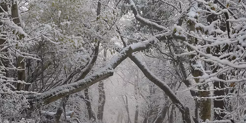 \u00daj\u00e9vi Kantav\u00e1r t\u00fara