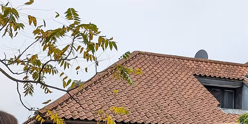 Hidden Heroines of Clifton: an original historic walk