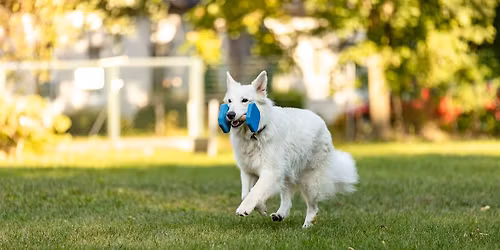 OG Pr\u00fcfung Sommer 2026
