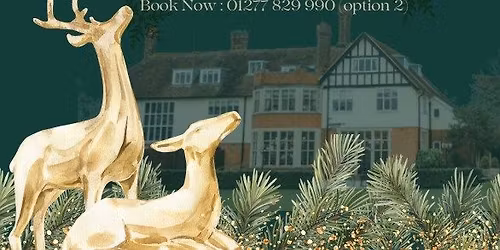 Christmas Party Nights at Greenwoods Hotel & Spa