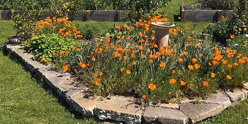 Pacifica Gardens' Fall Community Education Event