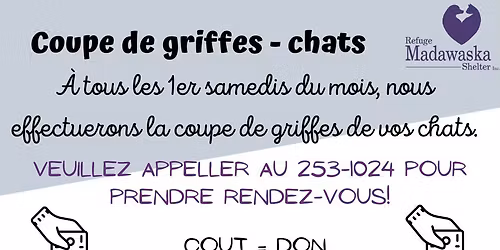 Coupe de griffes pour chats \/ Cat nail trimming