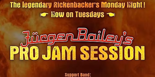 Die Rickenbackers Pro Jam Session