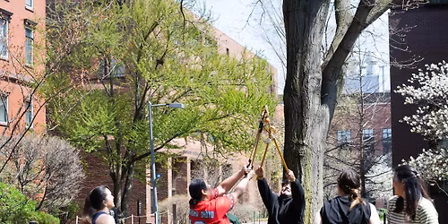 Free Hybrid Lecture: Indigenous Traditions: Stickball in the 21st Century