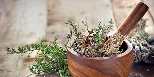 Tincture, Teas, And Salves Workshop