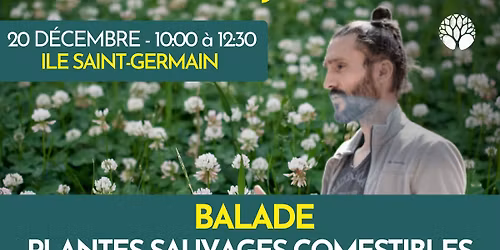 BALADE PLANTES SAUVAGES COMESTIBLES - ILE SAINT GERMAIN