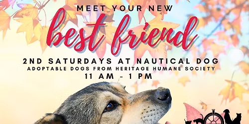 2nd Saturday's Adoption Event