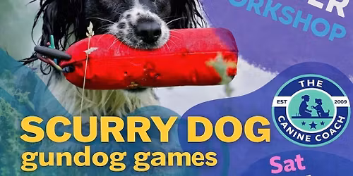 Epsom (Surrey) - Taster Workshop