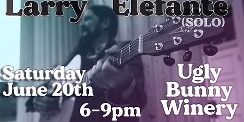 Larry Elefante (SOLO) live from Ugly Bunny Winery!